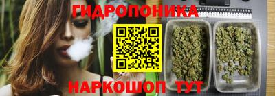 PSILOCYBIN Чапаевск