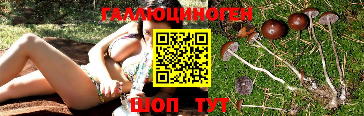Белореченск  Галлюциногенные грибы прущие грибы  Вход с VPN 